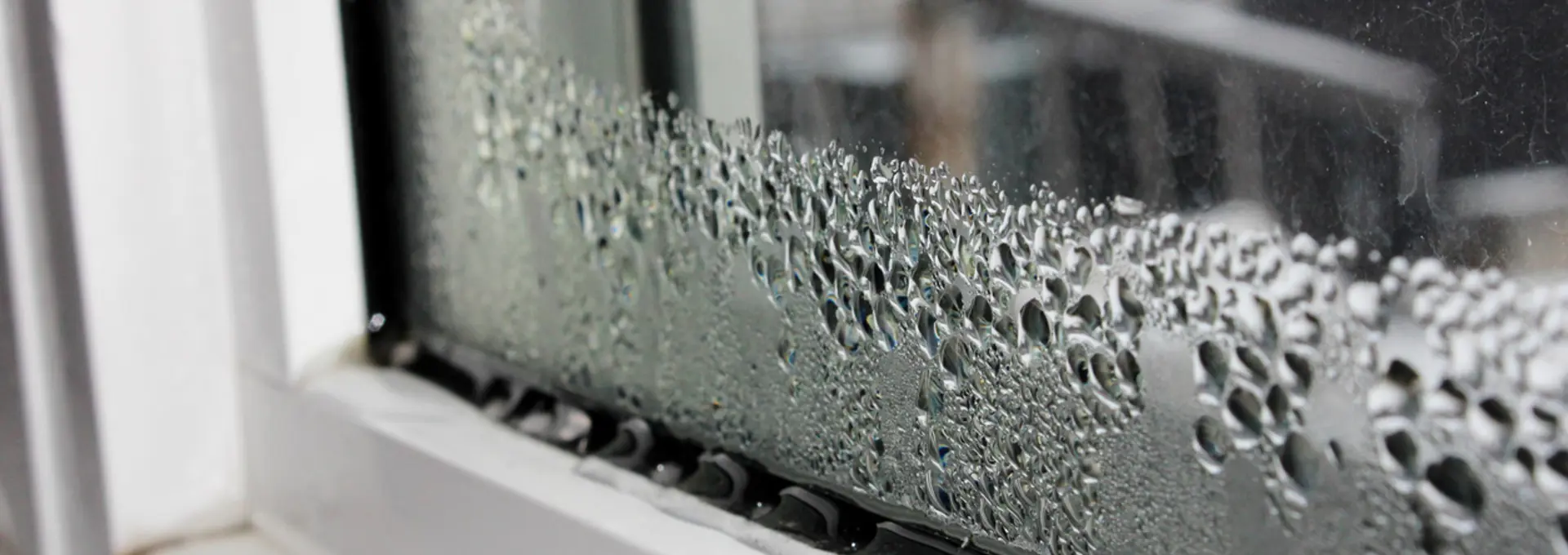 Condensation On Window - stock