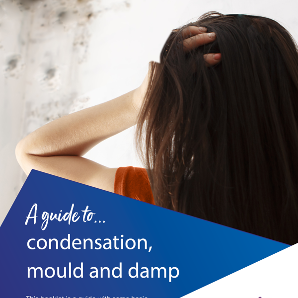 Condensation, Damp And Mould Leaflet Cover 2022