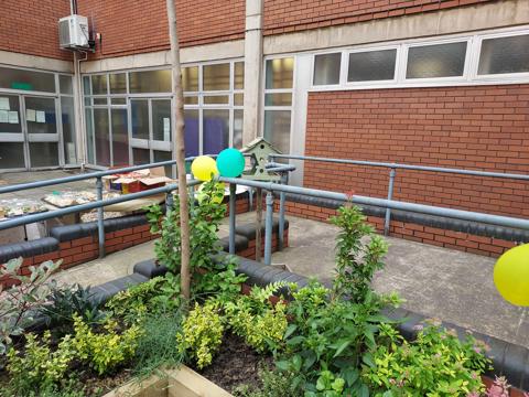 Community garden at Leicester Hospital 16